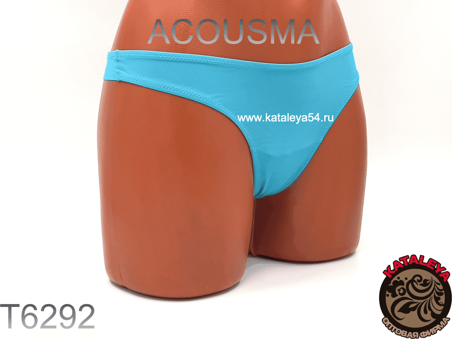 Трусики гладкі голубий Т6292 Acousma М(р)